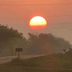 Meet your Posher, Shari